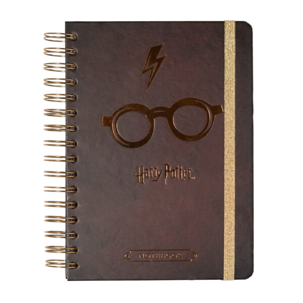 Harry Potter - Golden Notebook