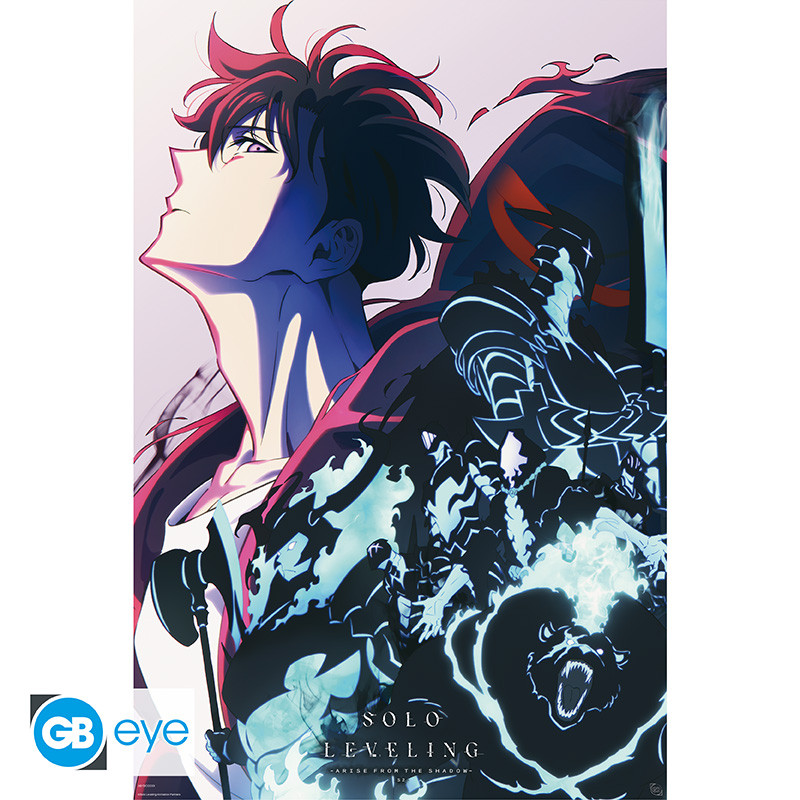 Solo Leveling - Sung Jinwoo - Αφίσα 61x91cm