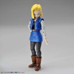 Dragon Ball - Figure-Rise Standard Model Kit Android 18 1