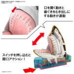 Exploring Lab Nature - Model Kit Great White Shark 3