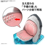 Exploring Lab Nature - Model Kit Great White Shark 4