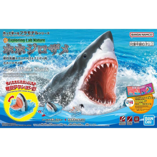 Exploring Lab Nature - Model Kit Great White Shark Box