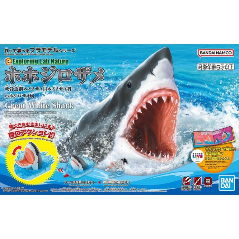 Exploring Lab Nature - Model Kit Great White Shark Box