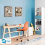 One Piece Poster Set - Usopp and Franky Wanted Posters - Αφίσα 38x52 (Σετ 2 Τεμαχίων) 4