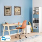 One Piece Poster Set - Zoro and Sanji Wanted Posters - Αφίσα 38x52 (Σετ 2 Τεμαχίων) 4